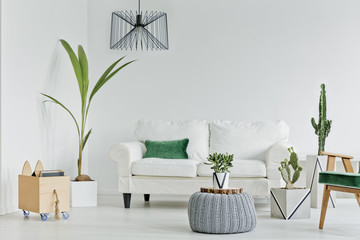 Living room with decorative houseplants