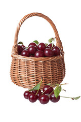 Fototapeta na wymiar wattled basket filled with ripe cherries, isolated, a white background
