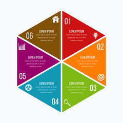 Vector illustration infographics six options