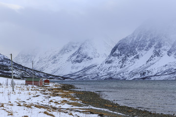 Red Rorbu Fishing Huts on Ullsfjord shoreline near Svensby, Troms county, Norway