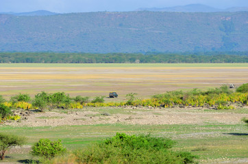 Fototapeta na wymiar tout terrain en terre masaï