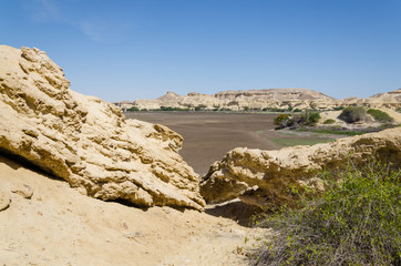Natural rock formations and sparse vegetation at Lake Arco in Angola's Namib Desert
