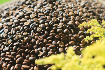 Obraz premium Coffee beans with sunlight in morning.