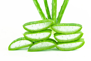 Slice Aloe Vera (Aloe barbadensis Mill.,Star cactus, Aloe, Aloin, Jafferabad or Barbados) a very useful herbal medicine for skin care 