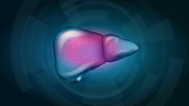 Cirrhosis of the Liver, from normal till damaged liver. Abstract technology background.