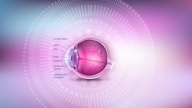 Normal eye anatomy with description, abstract background with rotating wheel