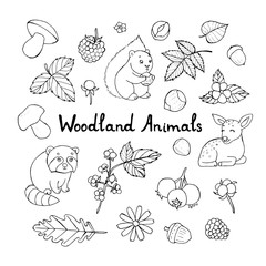 Doodle set of cute animals with vector doodle floral set