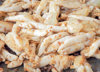 Egg fried squid in street food market, Thailand / Selective focus and Close up for food image