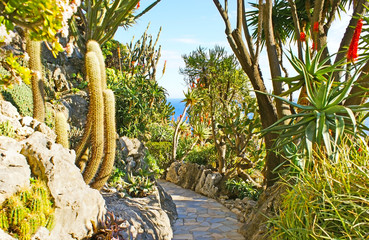 The walk in Monaco garden
