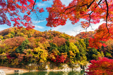 長瀞 秋の紅葉