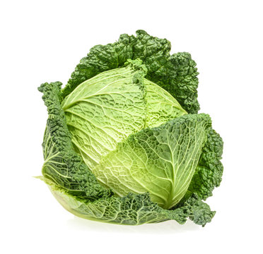 Savoy cabbage isolated on white background