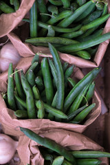 Fresh organic Green beans
