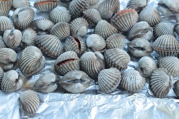 Grilled cockles placed on foil on the stove.