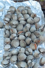 Grilled cockles placed on foil on the stove.