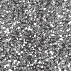 seamless pattern with silver sequins