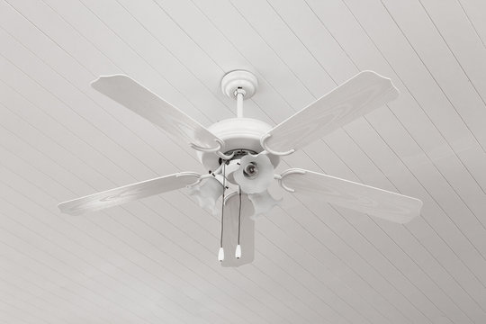 White Ceiling Fan Light