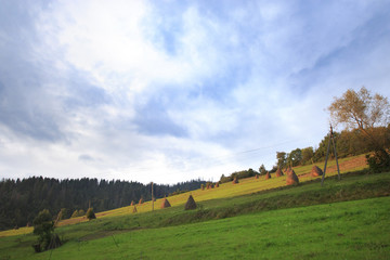 Obraz premium Rural field on a mountain slope with haystacks in Ukrainian Carpathians