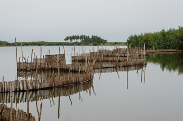 Traditional reed fishing traps used in wetlands near the coast in Benin.
