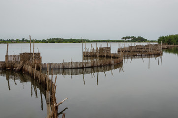 Traditional reed fishing traps used in wetlands near the coast in Benin. - obrazy, fototapety, plakaty
