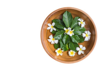 Top view clay water bowl with white flower (plumeria or frangipa