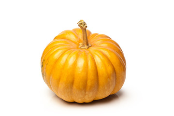Pumpkin isolated on white background