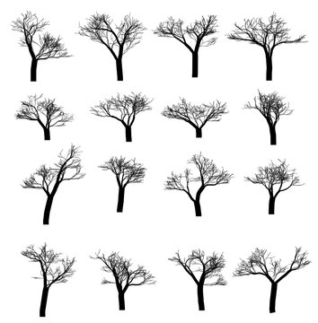 Winter tree set. Dry tree with fallen leaves. Dead tree silhouette. Vector illustration
