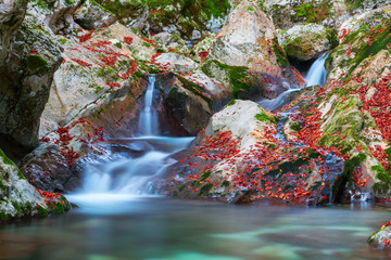 Beautiful mountain stream in the Lepena valley at autumn in Slovenia
