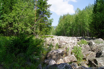 Fototapeta na wymiar Stone River in the national park