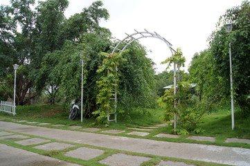 Naklejka premium arch in botanical garden