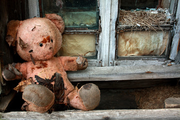 old toy bear in the ruins