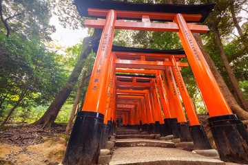 Thousands of torii gates at Fushimi Inari Shrine in Kyoto, Japan