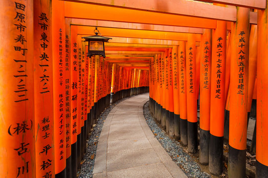 Thousands of torii gates at Fushimi Inari Shrine in Kyoto, Japan