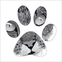 silhouette animal trail.