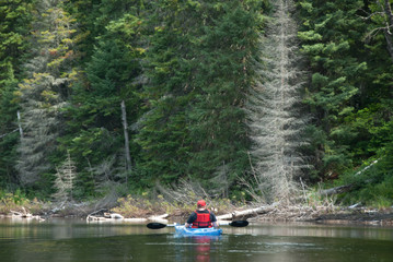 single kayaker in blue kayak on lake