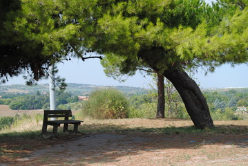 veduta