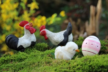 osterei kücken,huhn und hahn