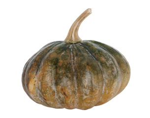 Pumpkin / Pumpkin on white background.