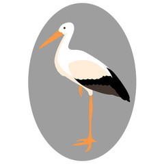 Stork vector illustration style Flat