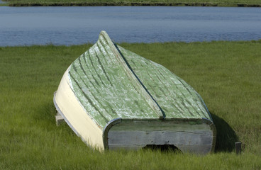 Bot on Marshfield Marsh
