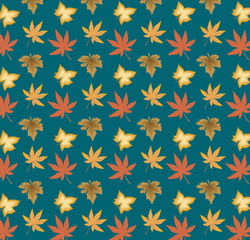 Autumn leaves on the background