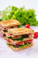Club sandwich with chicken breast, bacon, tomato, cucumber and herbs