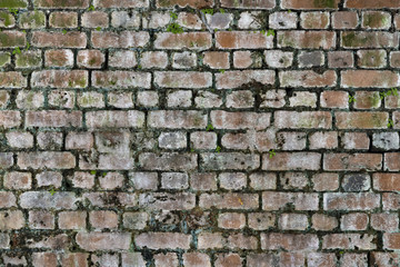 Grungy brick wall, Yangon, Myanmar