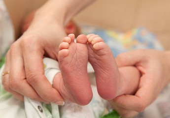 Infant heels in  mother's  hands