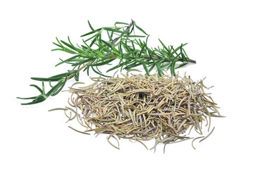 fresh and dried rosemary isolated on white background