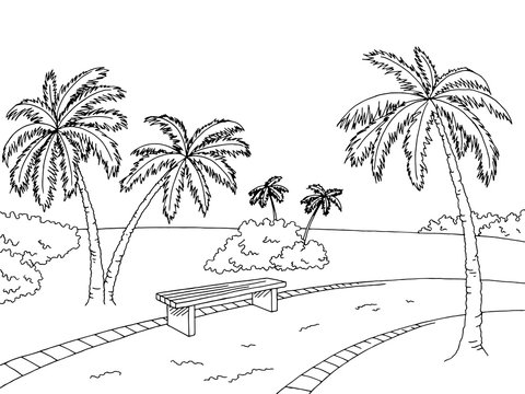Park palm trees graphic art black white bench landscape sketch illustration vector