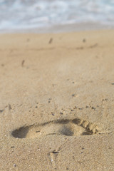 Footprint on sand. Beach background.