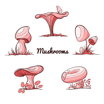 Vector mushroom set.