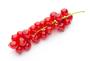 Red Currant close up isolated on white.