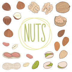 Nut collection. Set of walnuts, almonds, pistachios, peanuts, hazelnuts, whole and shelled. Mix of different nuts. Vector hand drawn illustration.