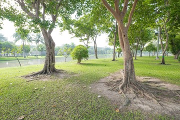 Bangkok, Thailand - November 6, 2016 : Chatuchak public park att